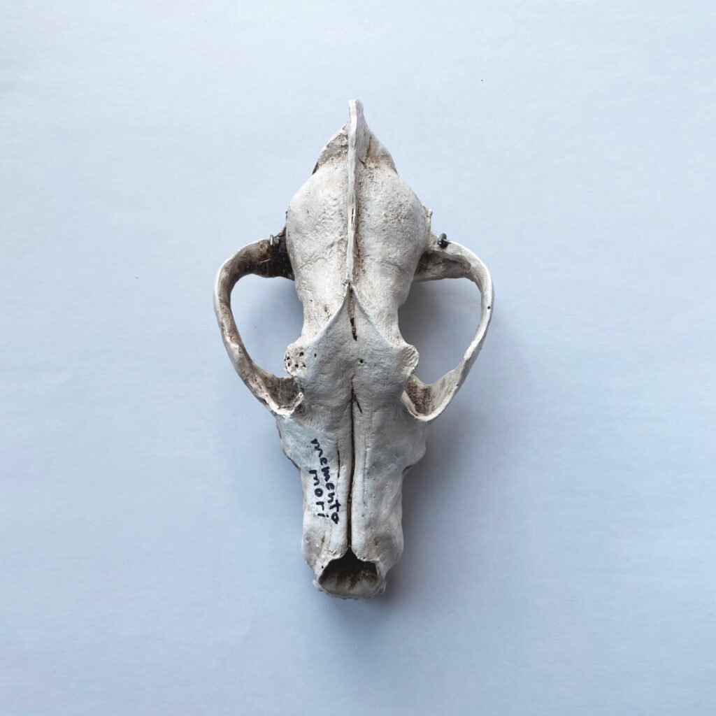 Alix de Bretagne - Memento Mori (Readymade, 2018)