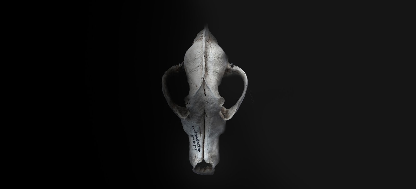 Alix de Bretagne - Memento Mori (Readymade, 2018)