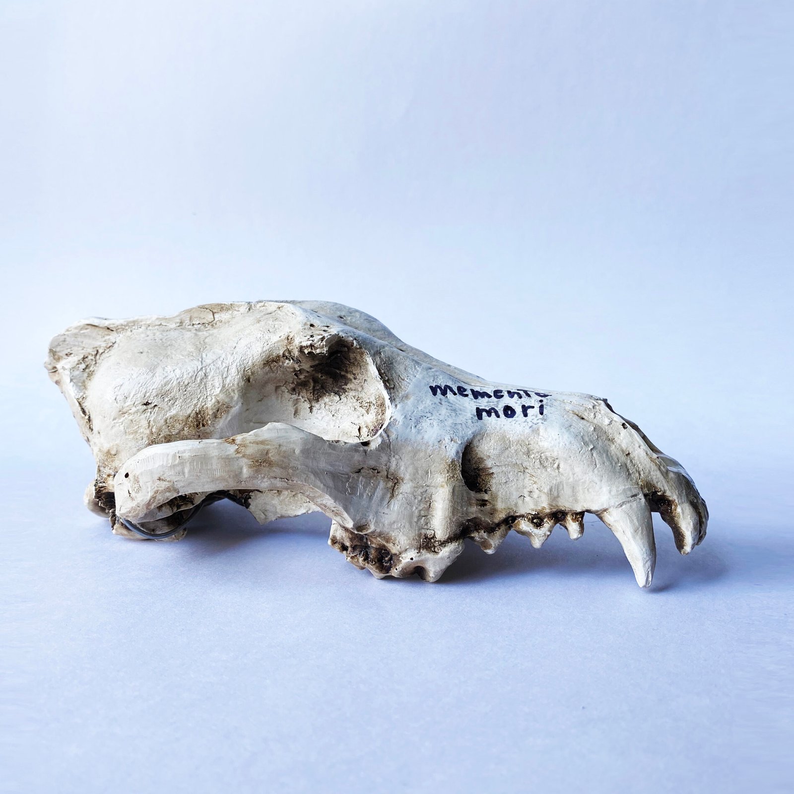 Alix de Bretagne - Memento Mori (Readymade, 2018)