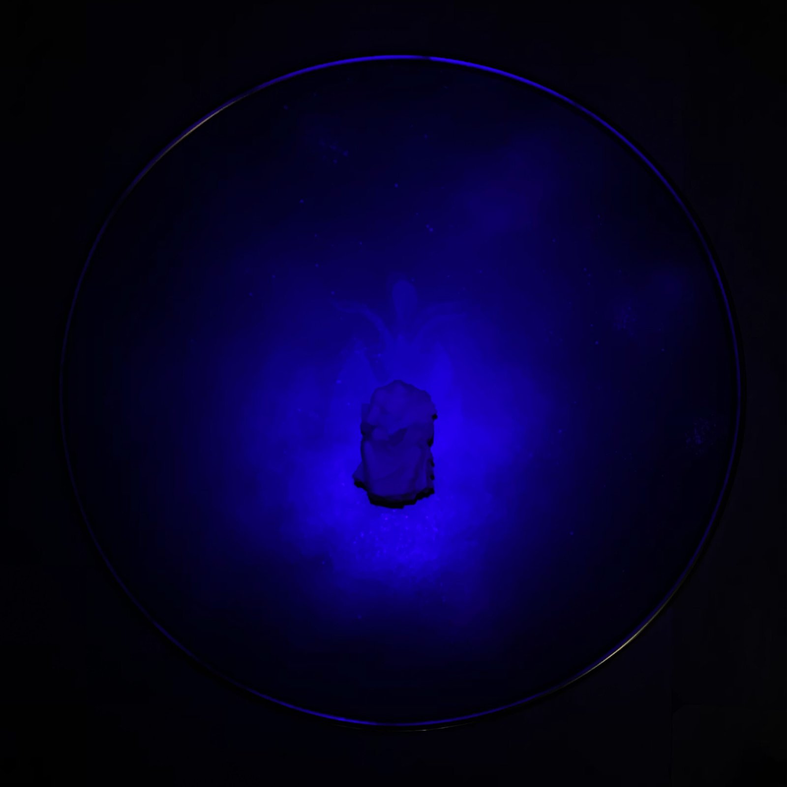 "Stand Guard At The Entrance Of Your Mind" (Abstract, 2020) by Alix de Bretagne